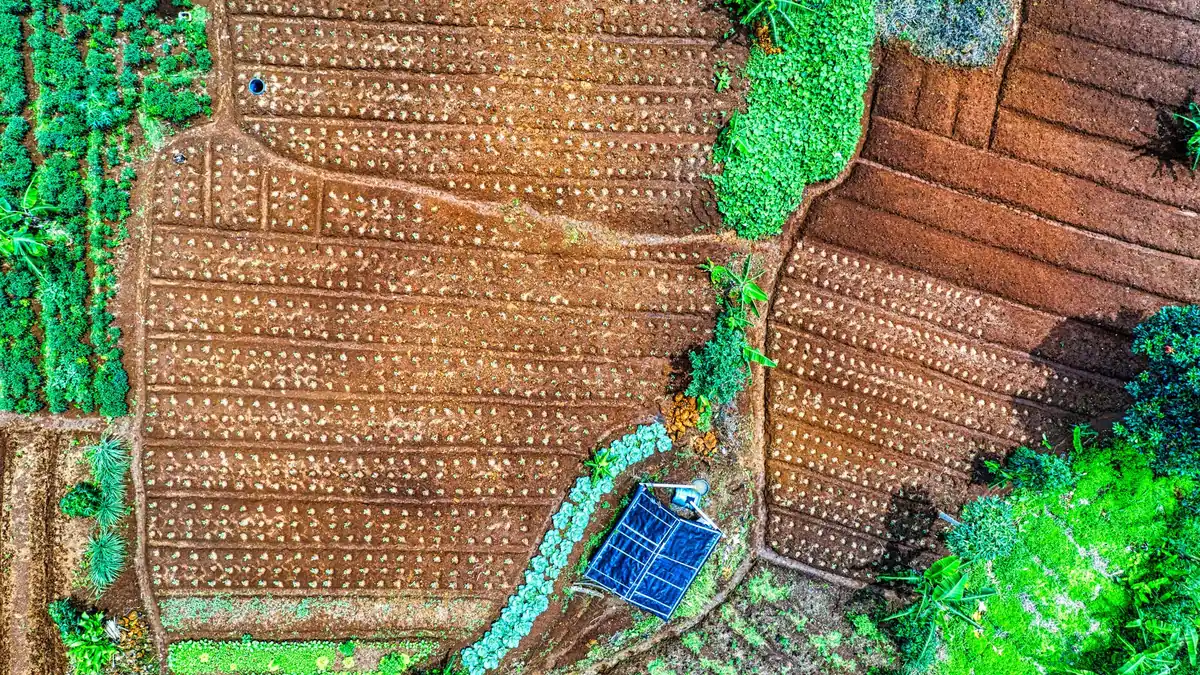 Usinas de energia solar para cafeicultura e residências em Patrocínio MG